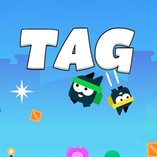 Tag - Unblocked Arcade Game
